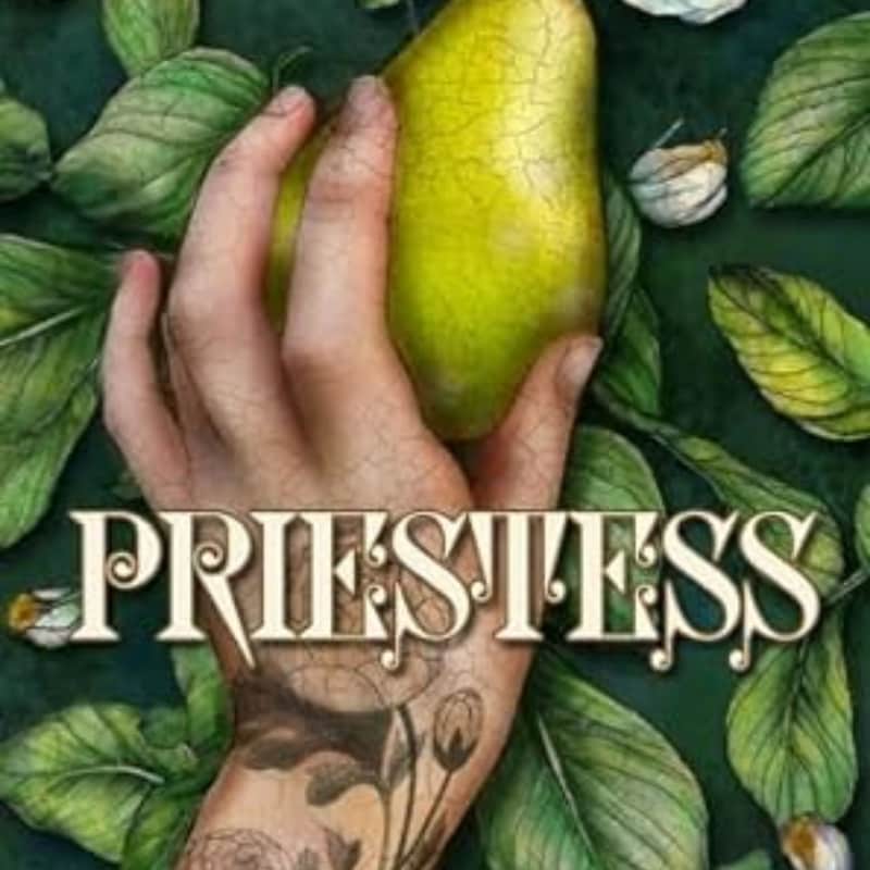 Artwork for podcast Not Another Heroine