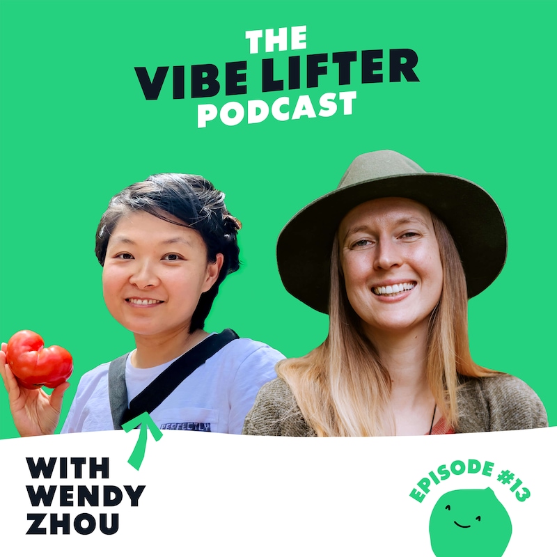 Artwork for podcast The Vibe Lifter Podcast