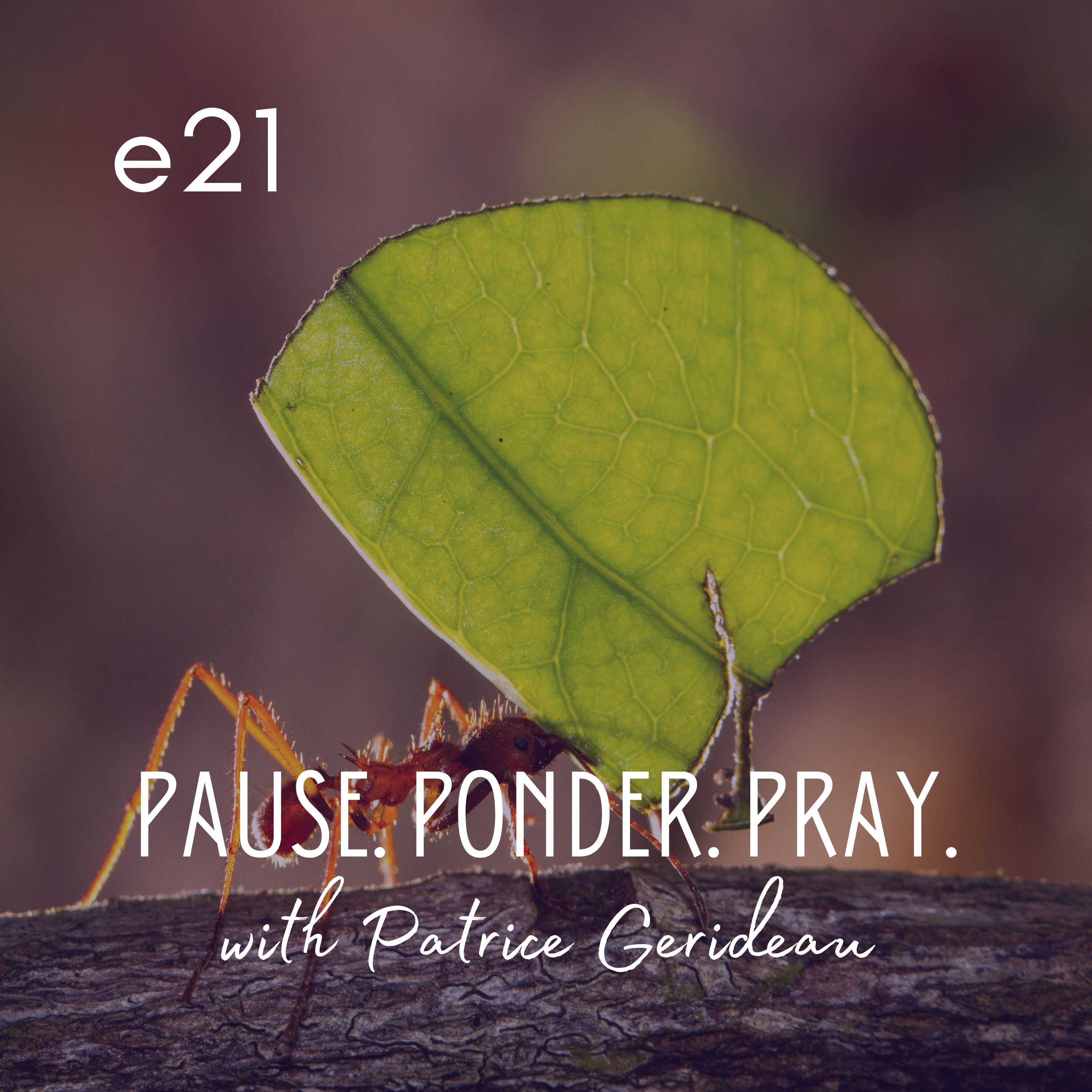 Pause. Ponder. Pray