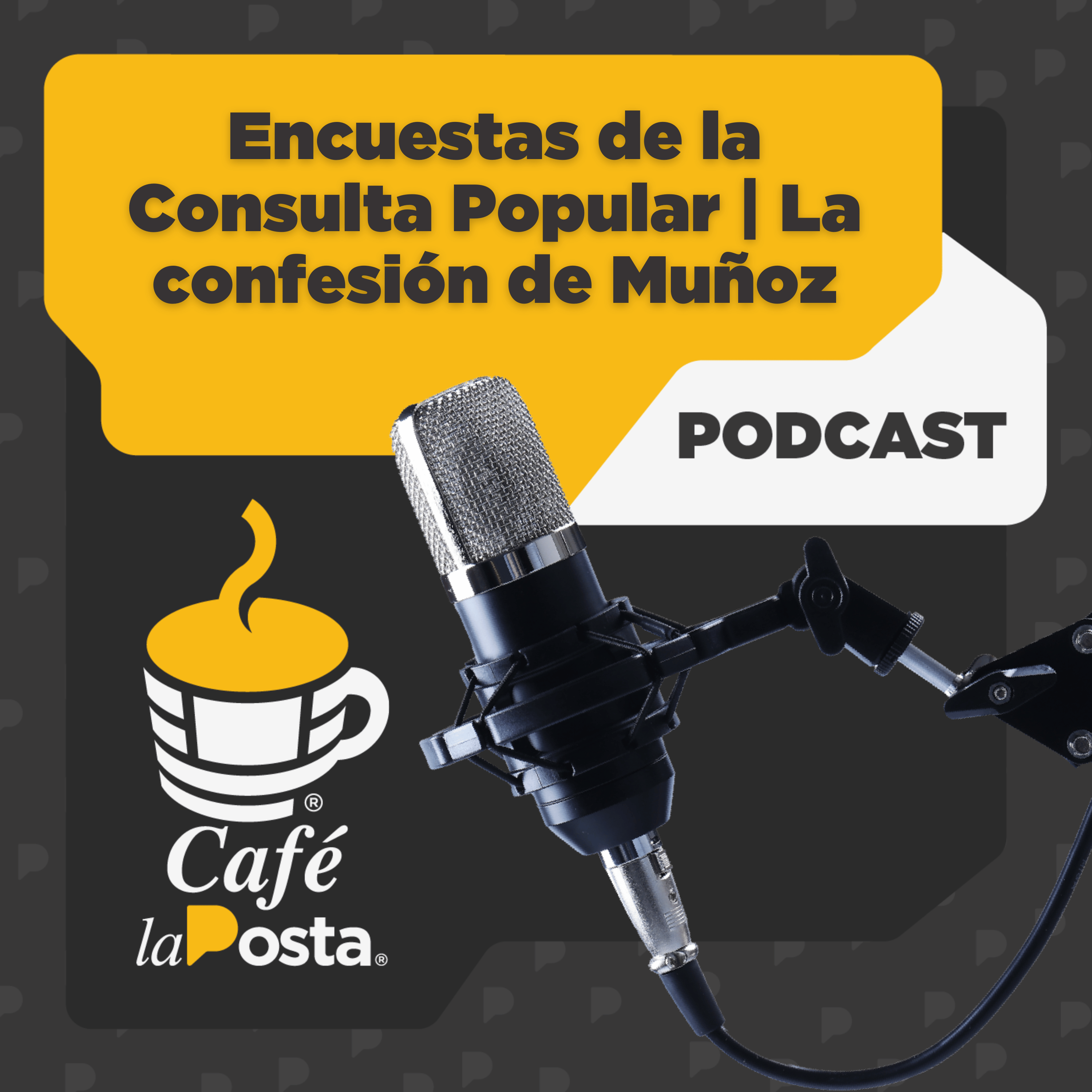11/ABR: Encuestas de la Consulta Popular | La confesión de Muñoz