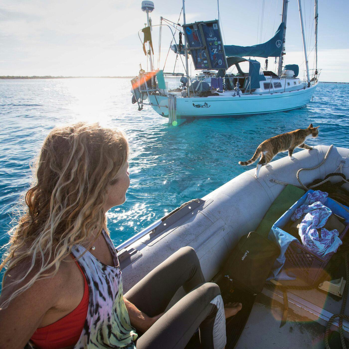 Voyage of the Swell: A Journey in Search of a Life of Exploration and Adventure with Captain Liz Clark