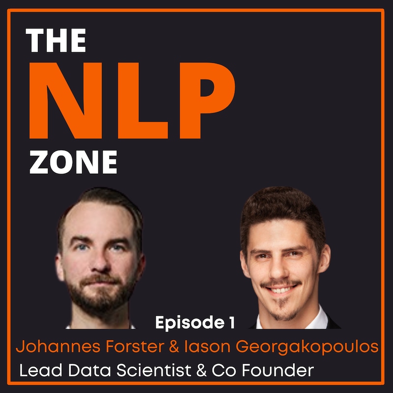 Artwork for podcast The NLP Zone