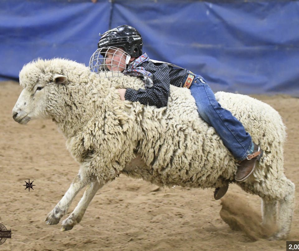IMMERSION: Wild Rides, Mutton Bustin’ and the Fastest Shearer in the West: On Location at the Black Hills Stock Show and Rodeo