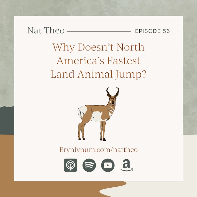 Artwork for podcast Nat Theo Nature Lessons Rooted in the Bible