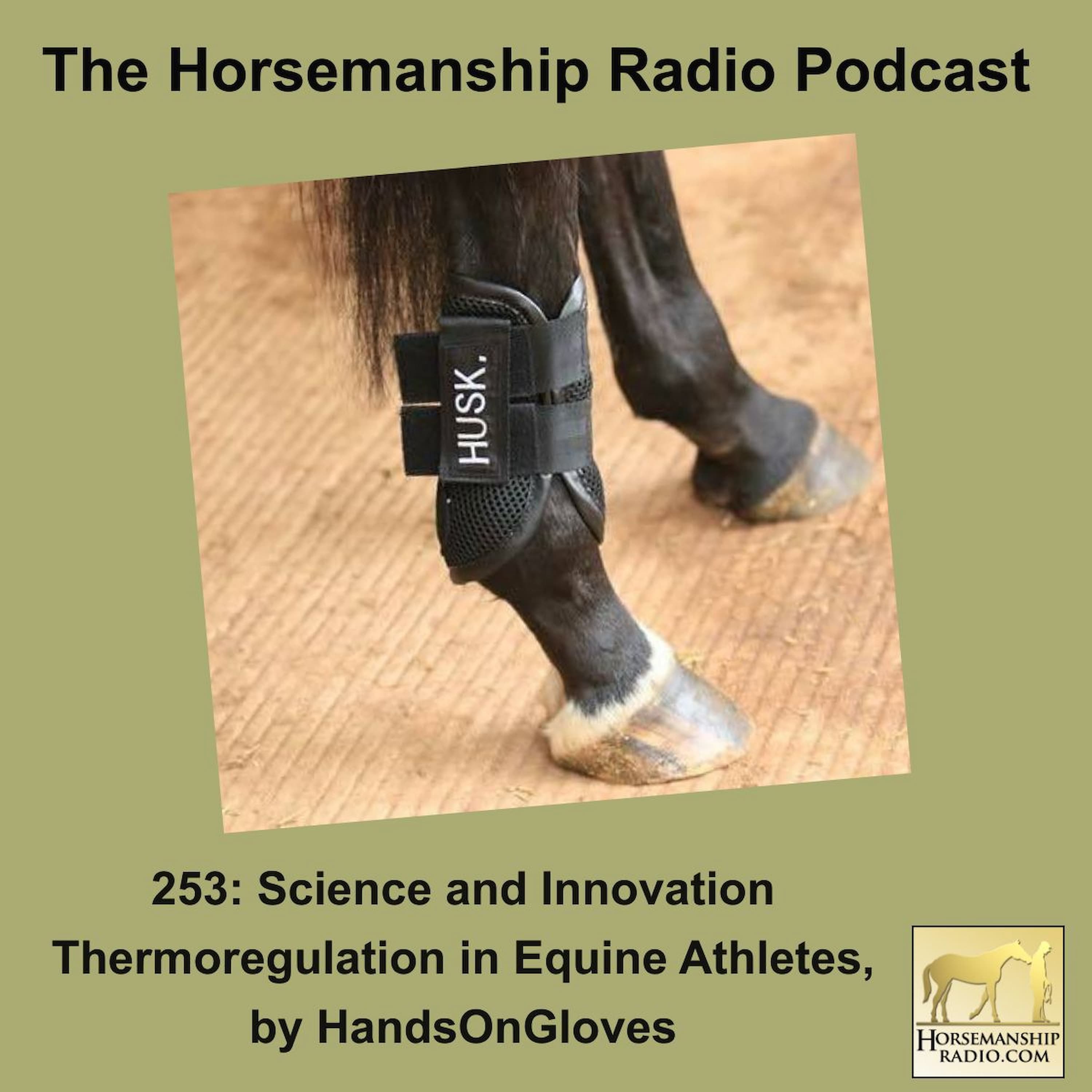 253: Science and Innovation Thermoregulation in Equine Athletes, by HandsOnGloves