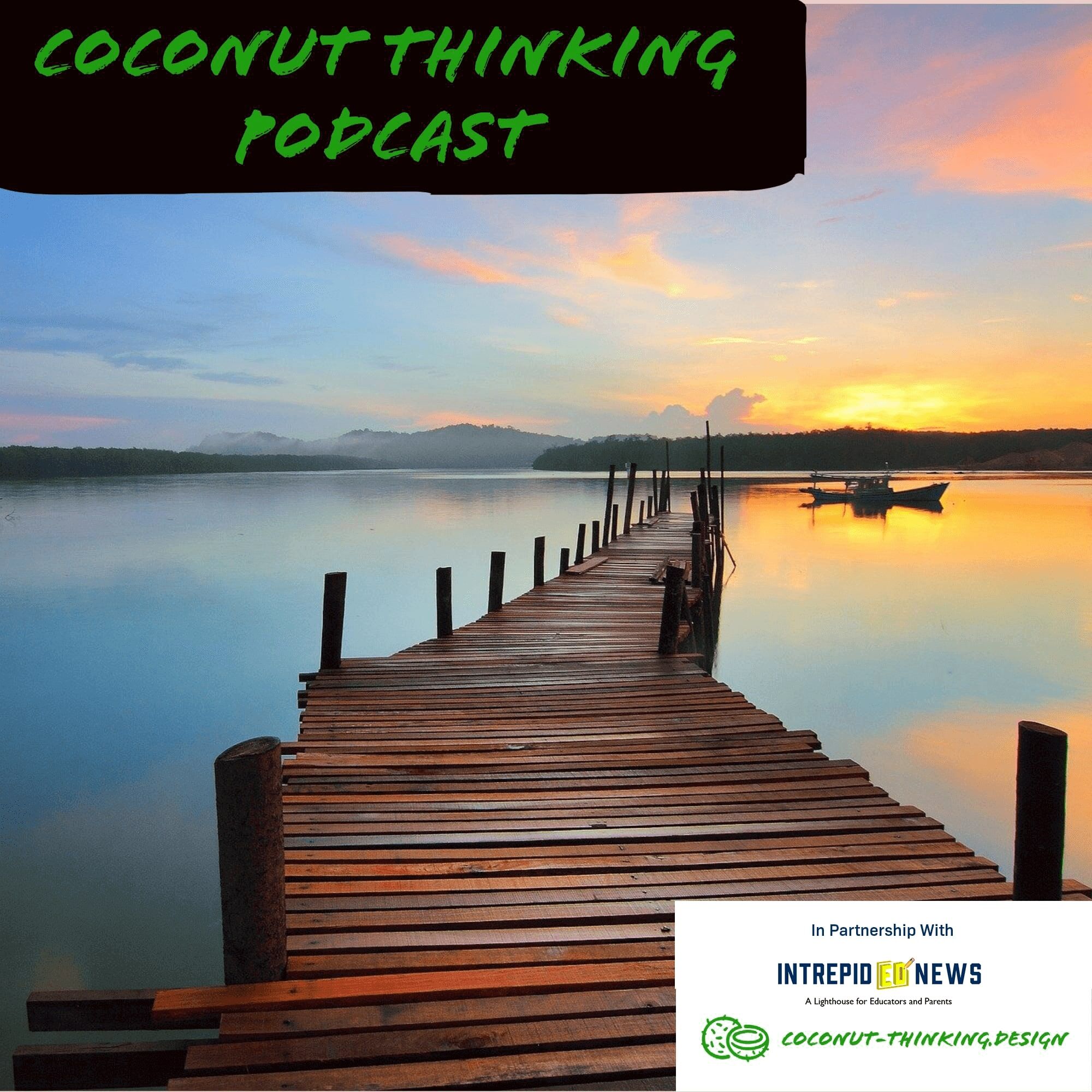 Artwork for Coconut Thinking
