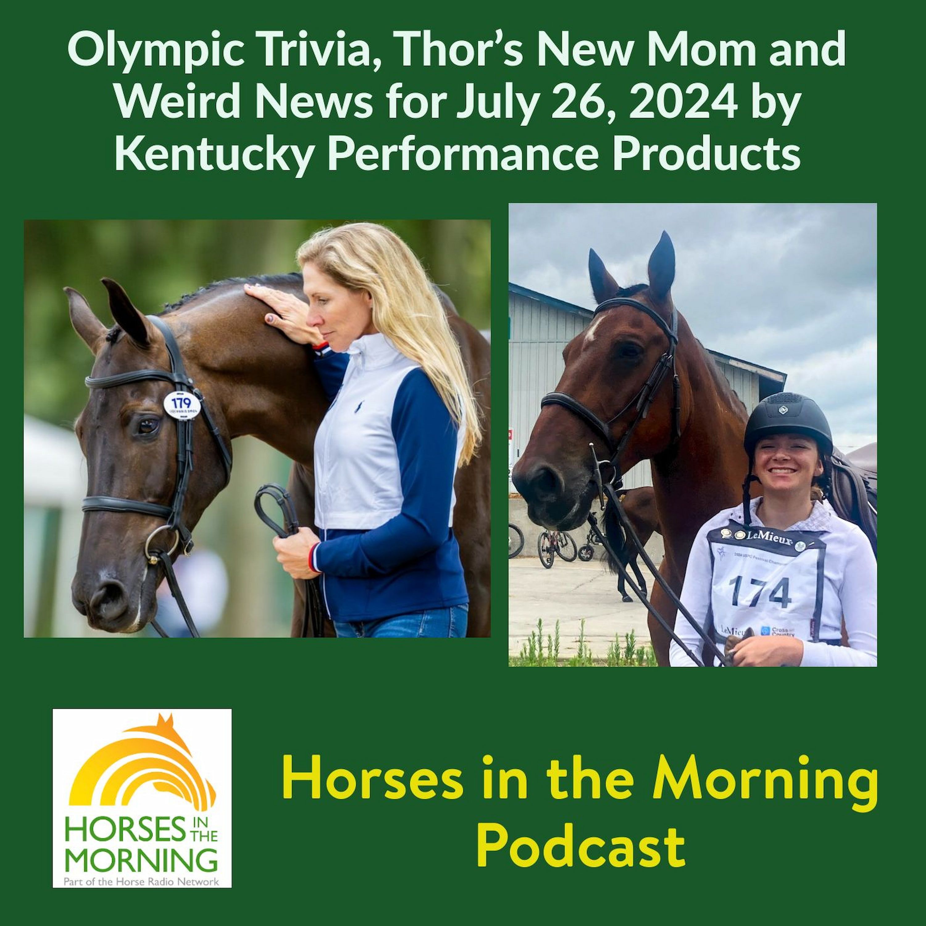 HRN Auditor Podcast