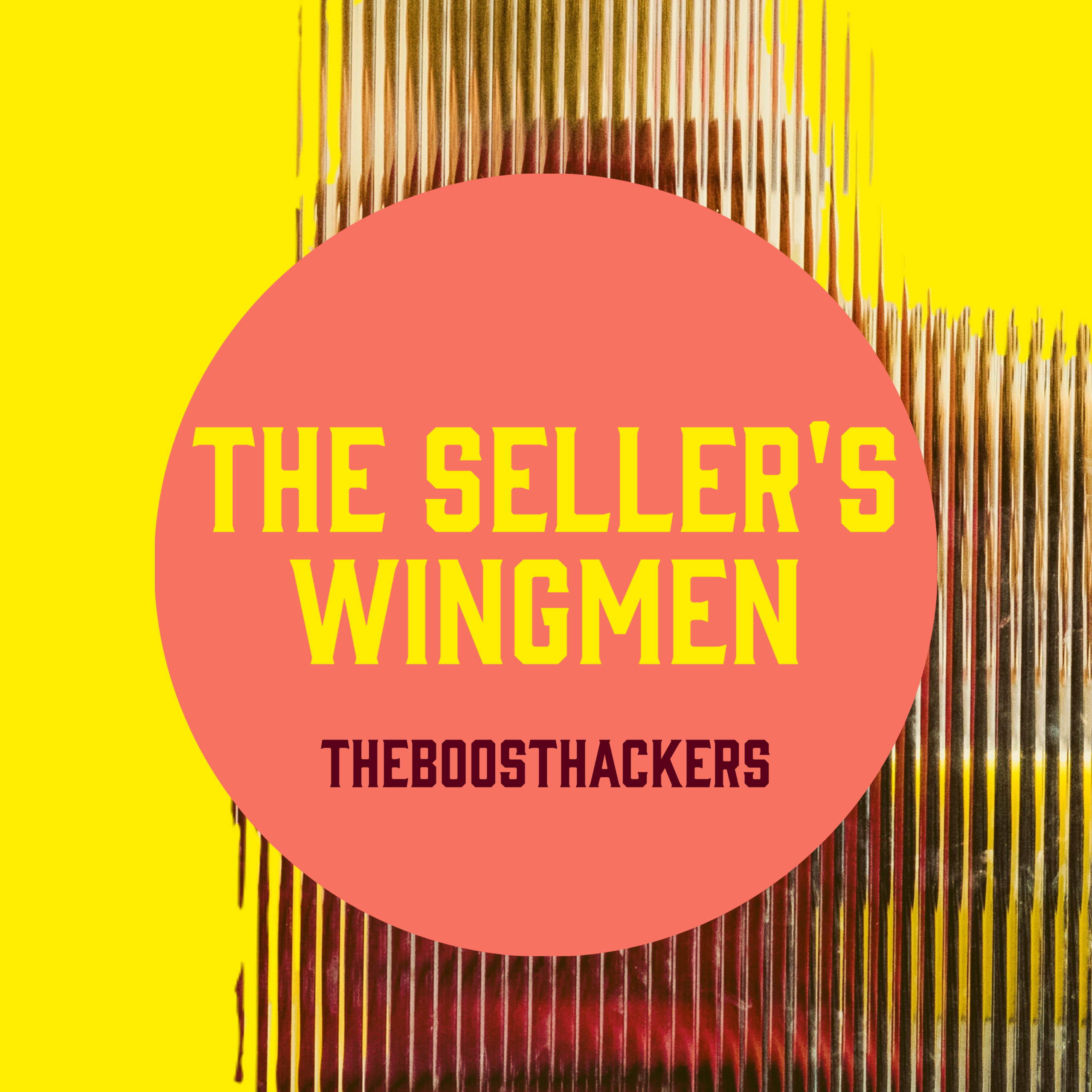 Artwork for podcast The Sellers Wingmen