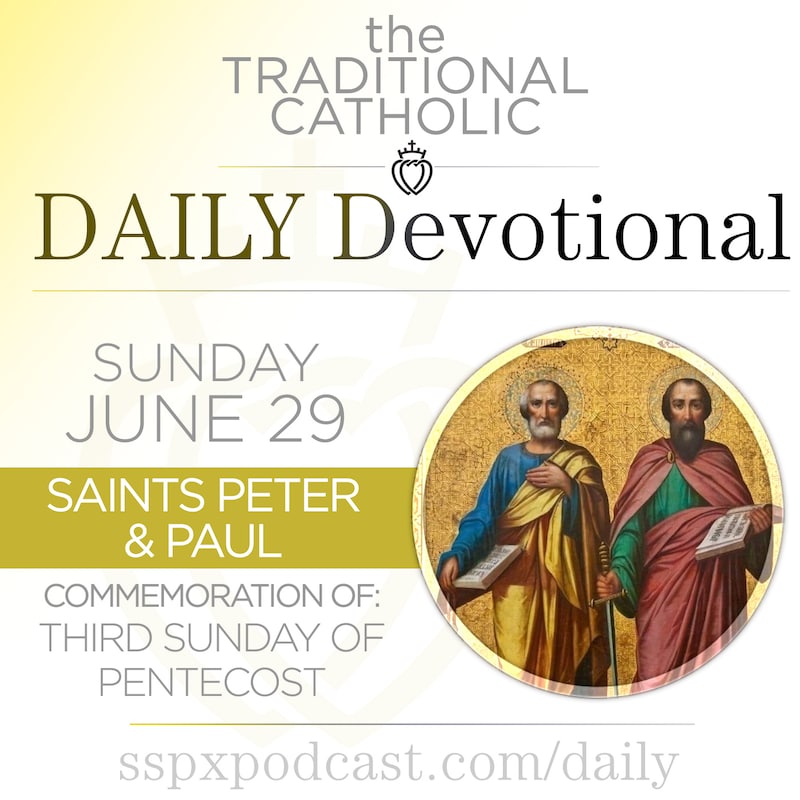 Artwork for podcast Traditional Catholic Daily Devotional