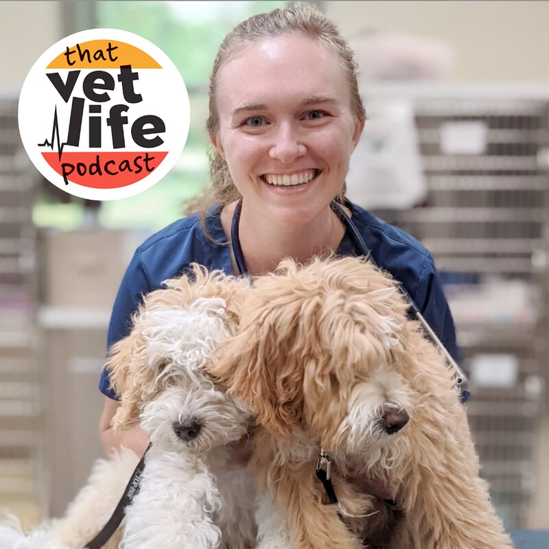 Artwork for podcast The 'So You're A Vet... Now What?' Podcast