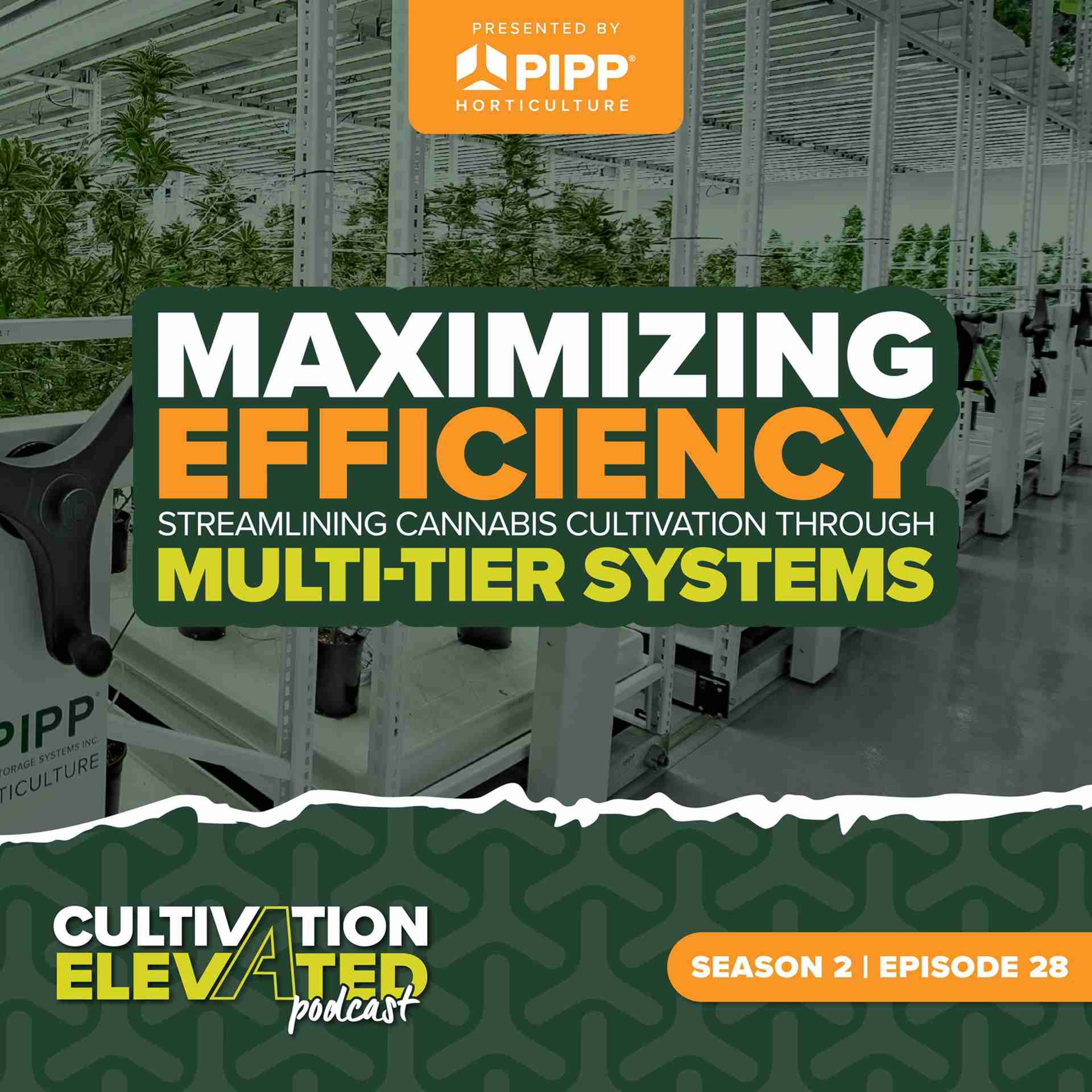 Cultivation Elevated - Indoor Farming, Cannabis Growers & Cultivators - Pipp Horticulture