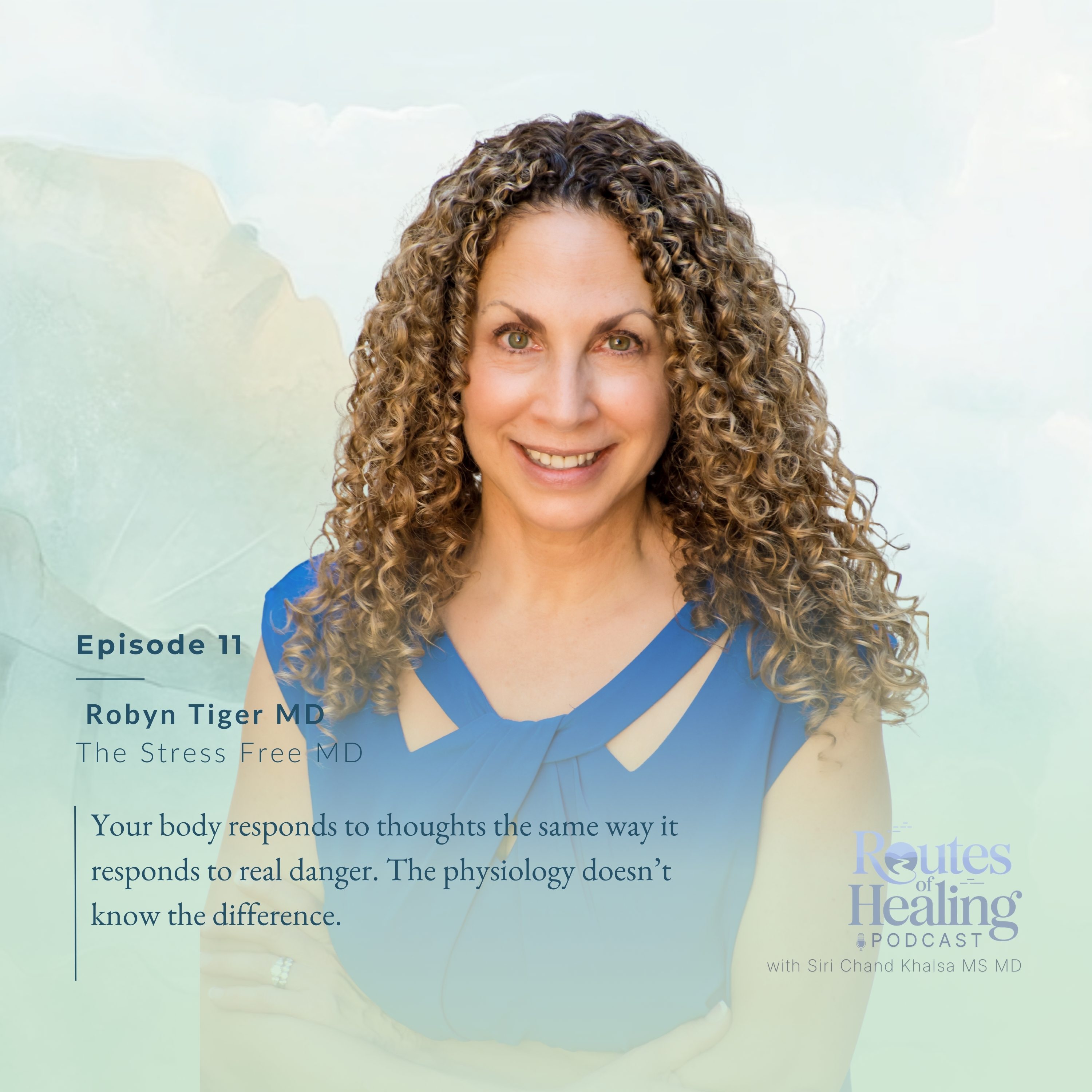 Life Without Burnout: Exploring Stress and Sustainable Solutions with Dr. Robyn Tiger episode artwork