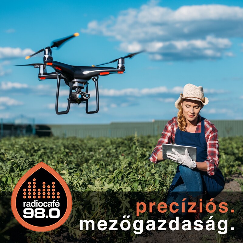 Artwork for podcast kávézó a világ végén McMenemy Márkkal