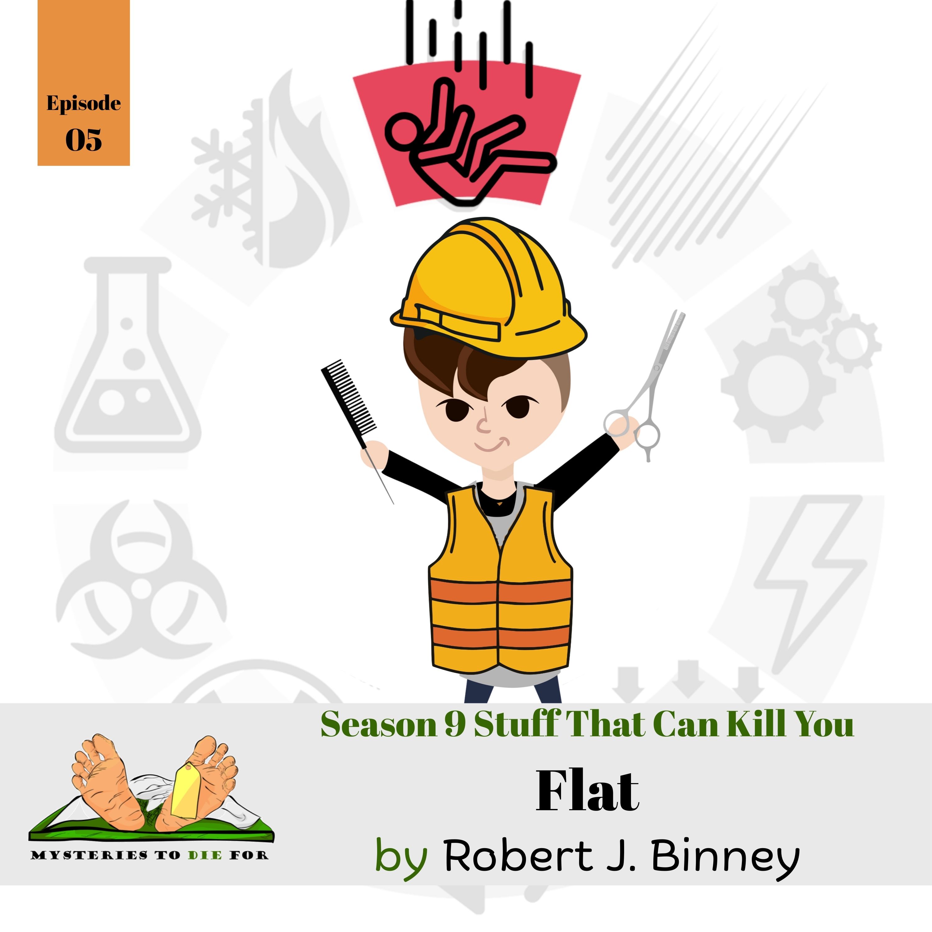 S9E5: Flat episode artwork
