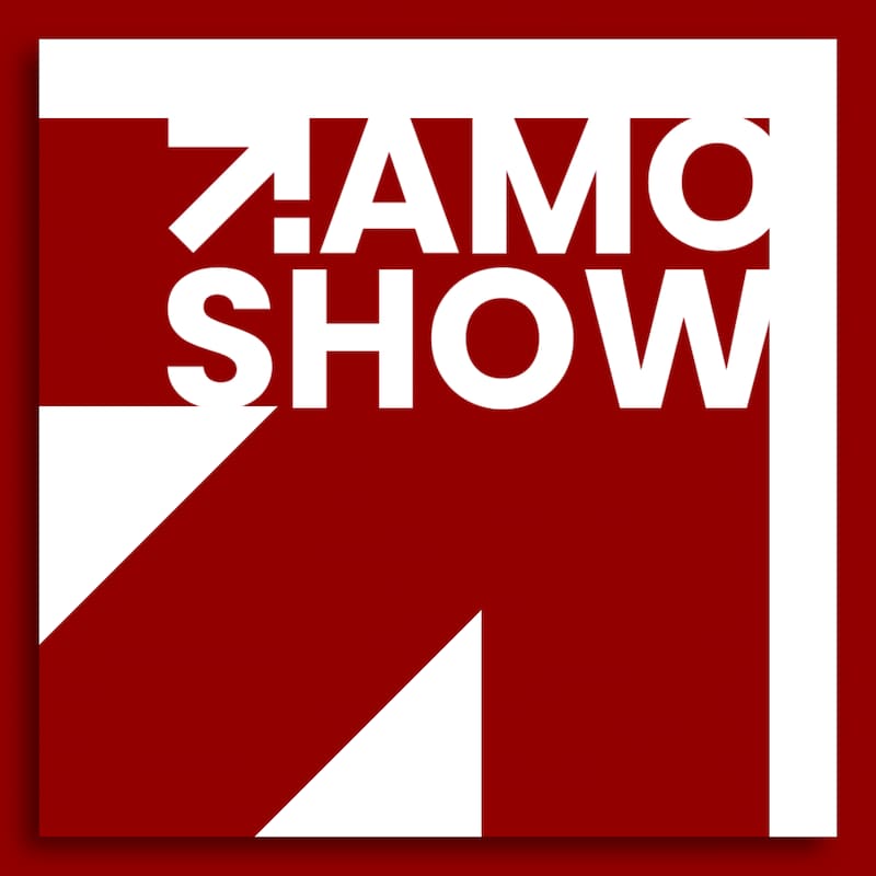 Artwork for podcast The AMO Show