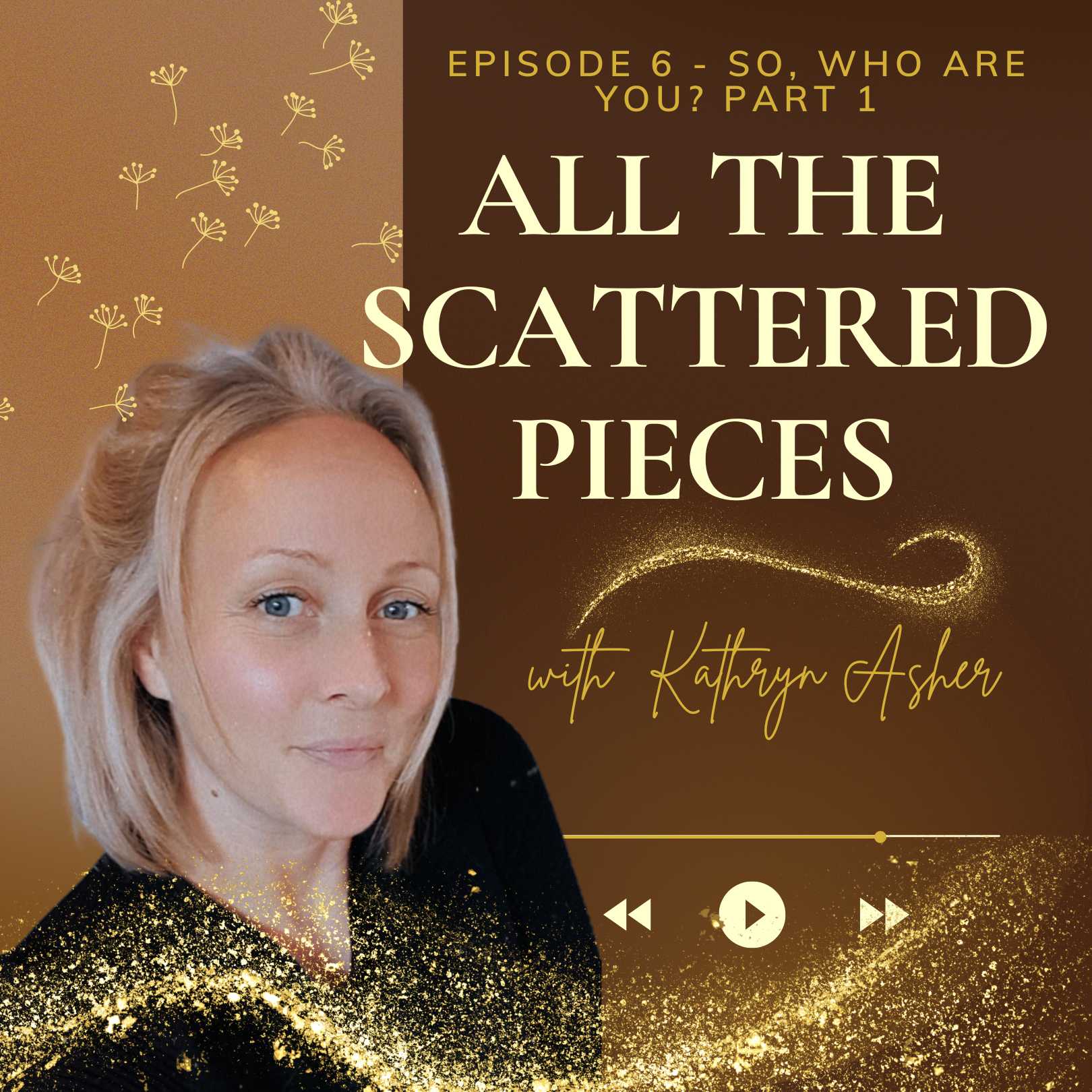 Artwork for podcast All the scattered pieces