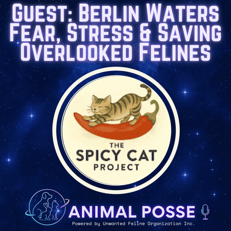 Artwork for podcast Animal Posse