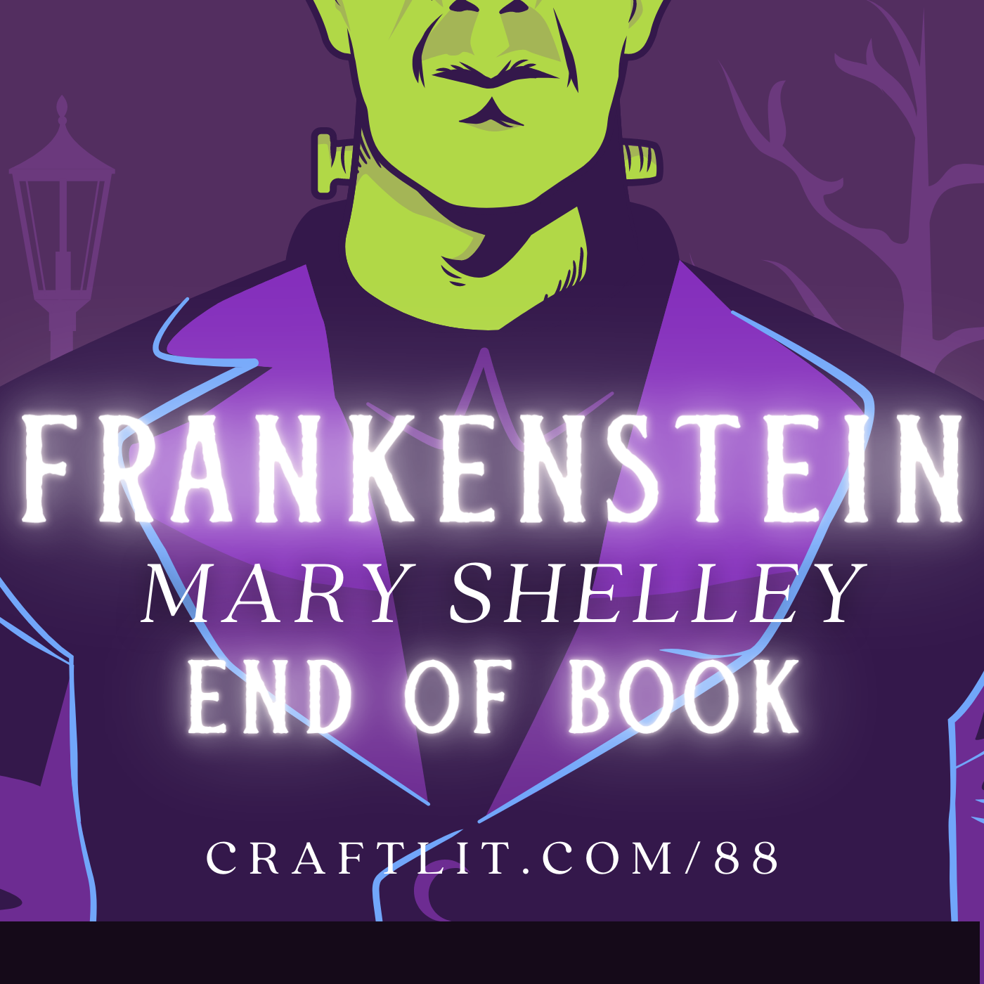 88: Chs 23-24 — Frankenstein (End of Book) episode artwork