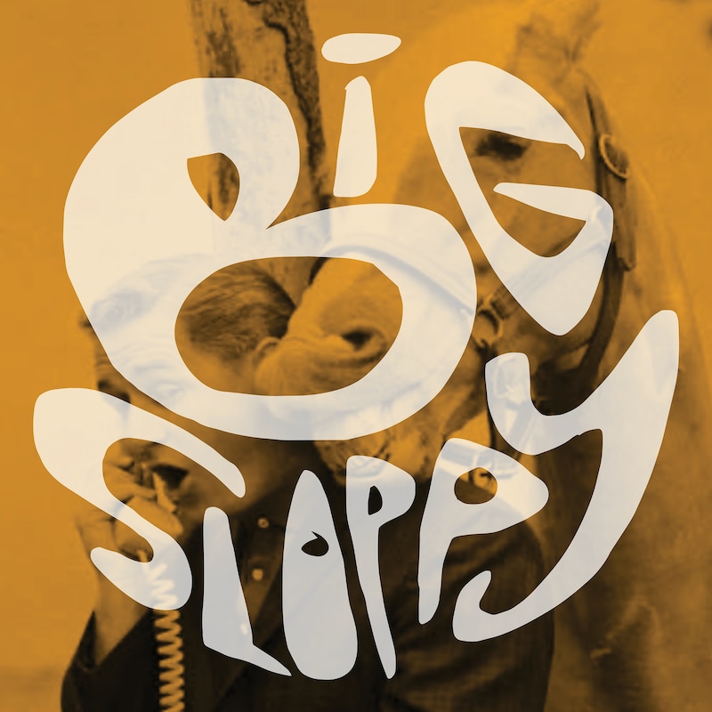 Artwork for podcast Big Sloppy