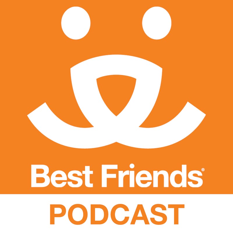 Artwork for podcast The Best Friends Podcast
