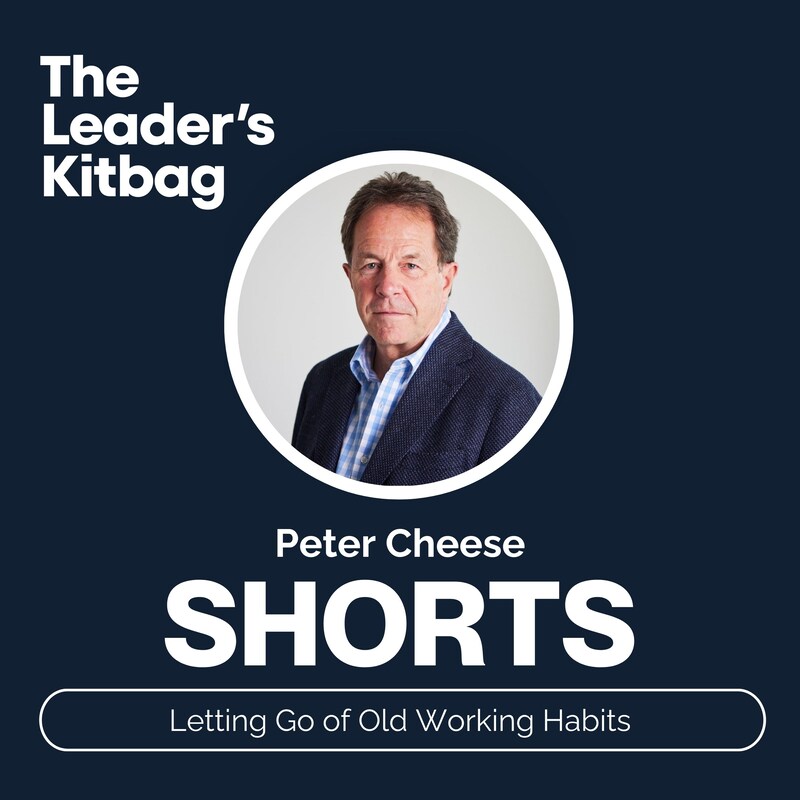 Artwork for podcast The Leader's Kitbag