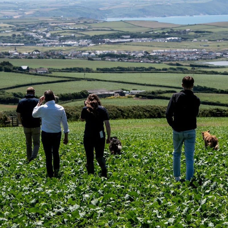 Artwork for podcast AHDB Food & Farming