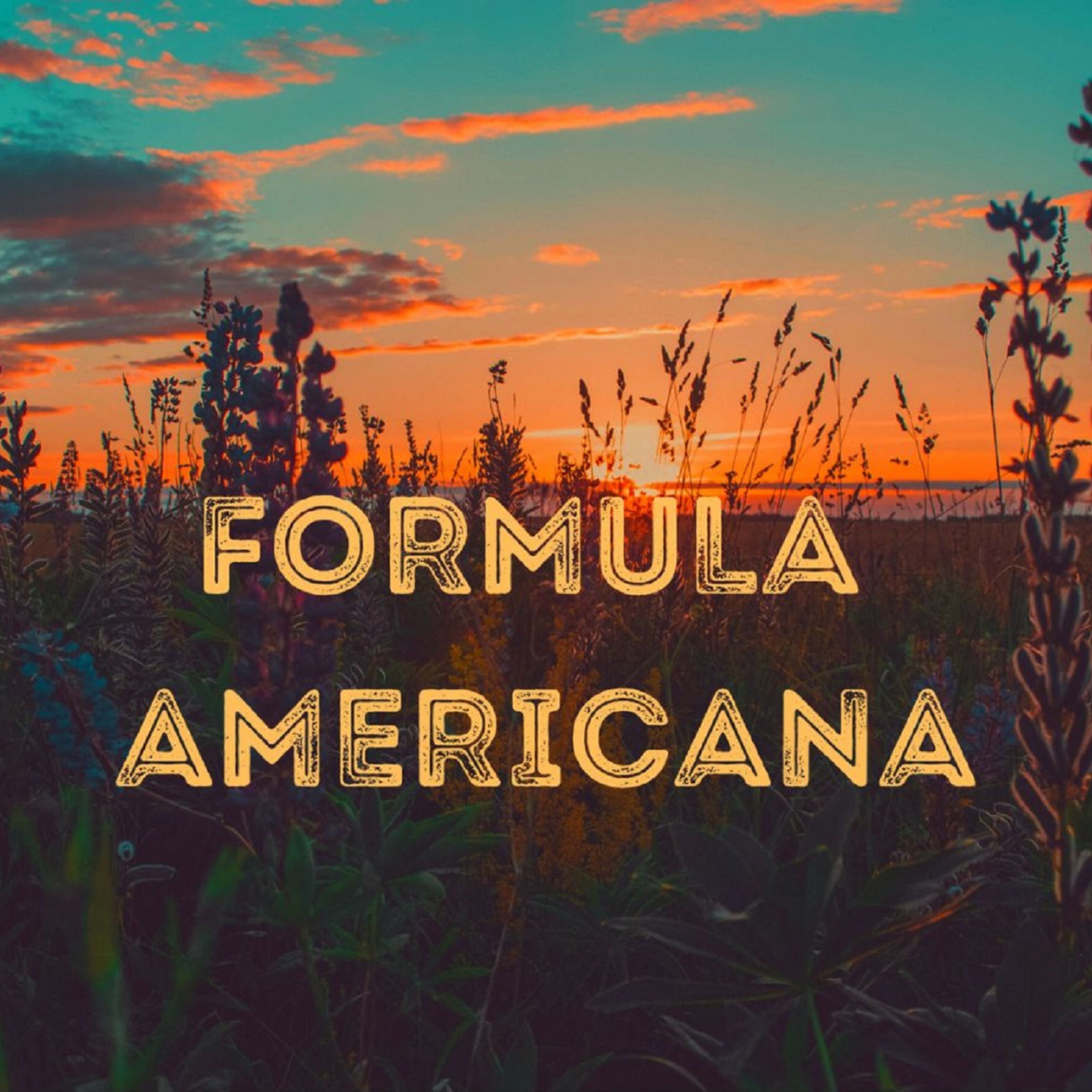 Show artwork for Formula Americana