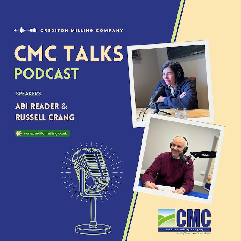 Artwork for podcast CMC Talks