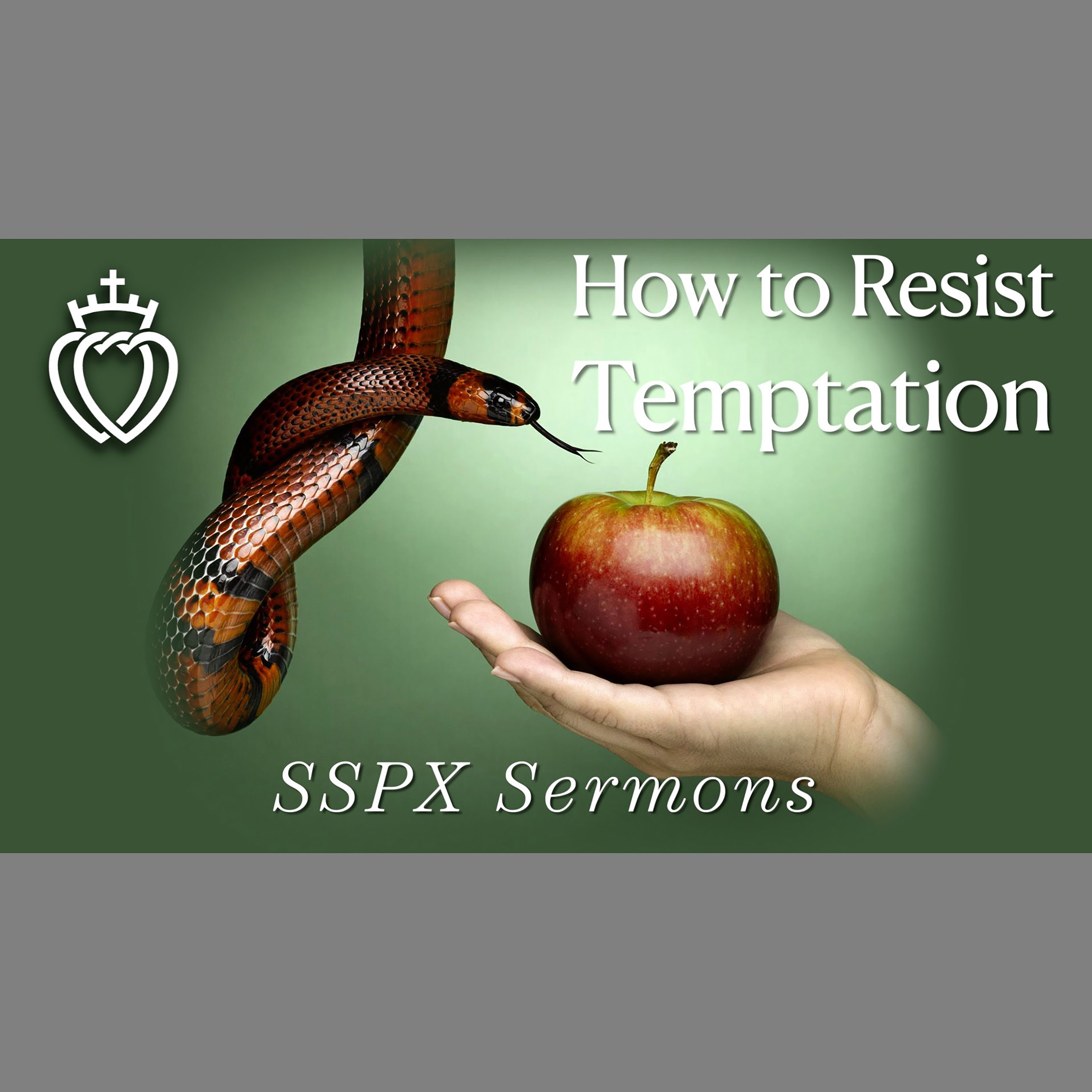 How to Resist Temptation - SSPX Sermons