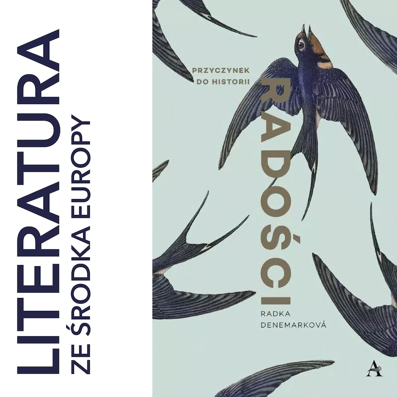 Artwork for podcast literatura ze środka Europy