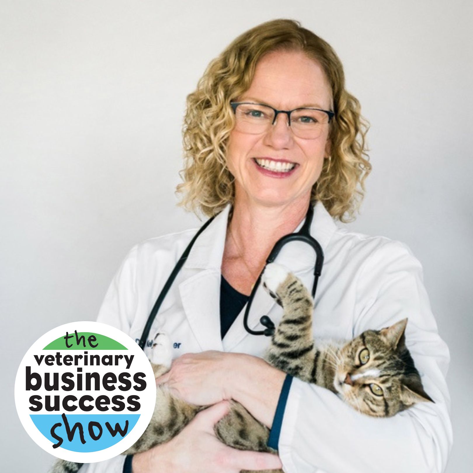 EP 77: From practice owner to Banfield executive to associate: Learning from Dr. Kelly Cooper