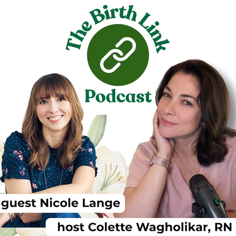 Artwork for podcast The Birth Link