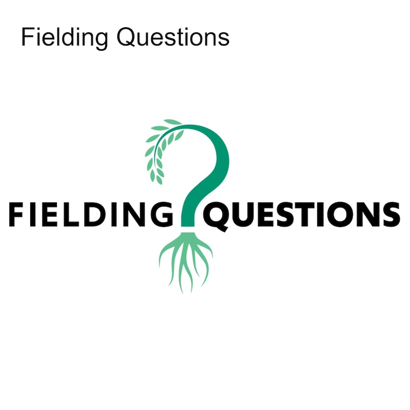 Artwork for podcast Fielding Questions
