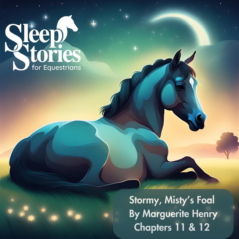 Artwork for podcast Sleep Stories for Equestrians