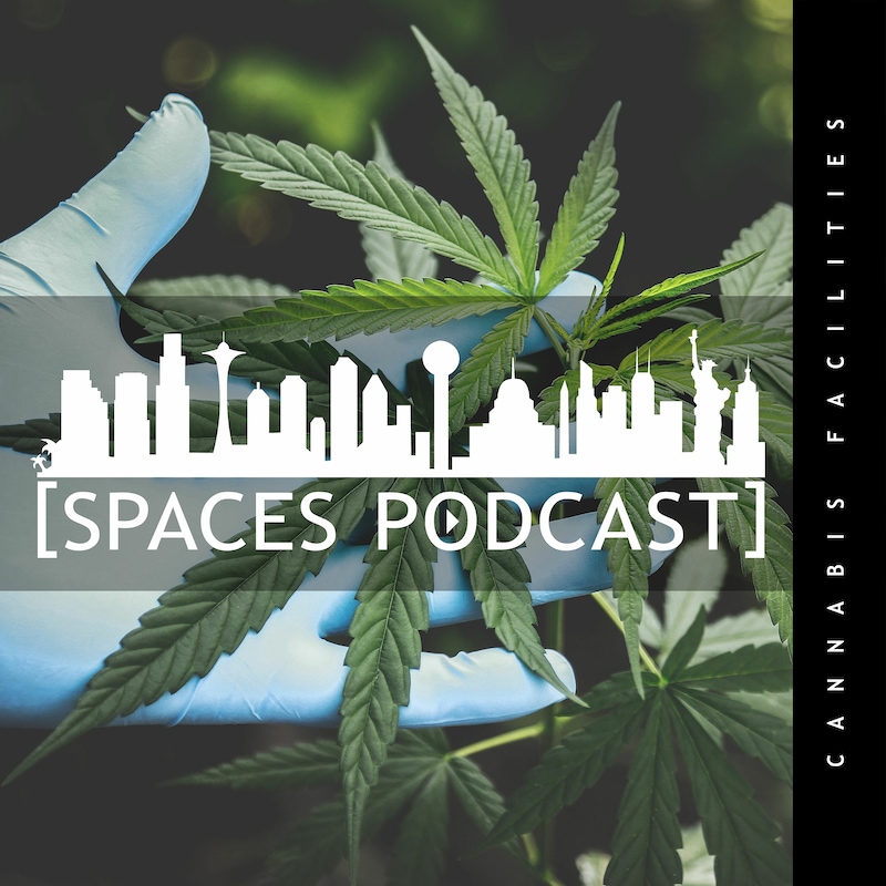 Artwork for podcast Spaces Podcast