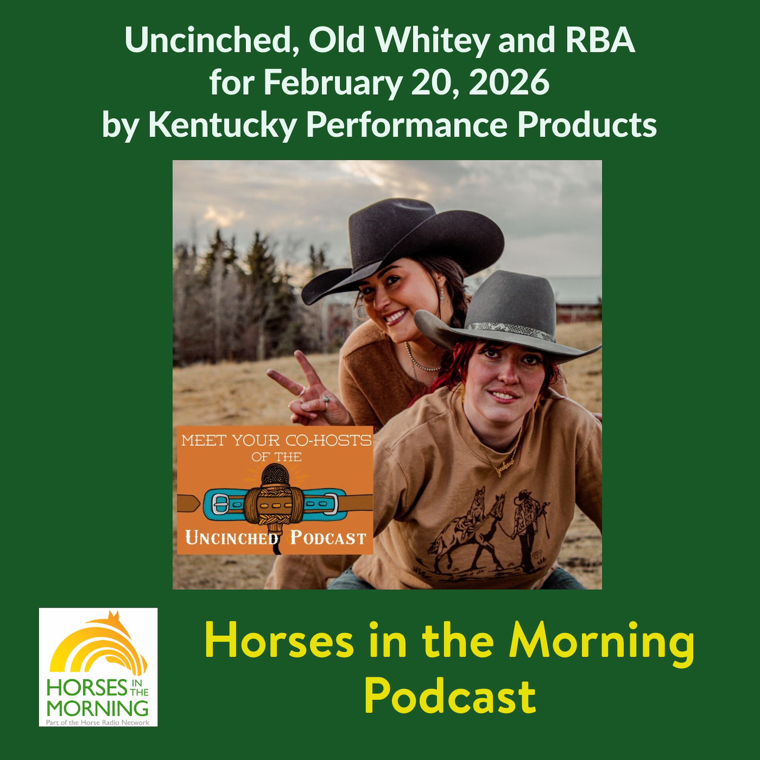 HRN Auditor Podcast
