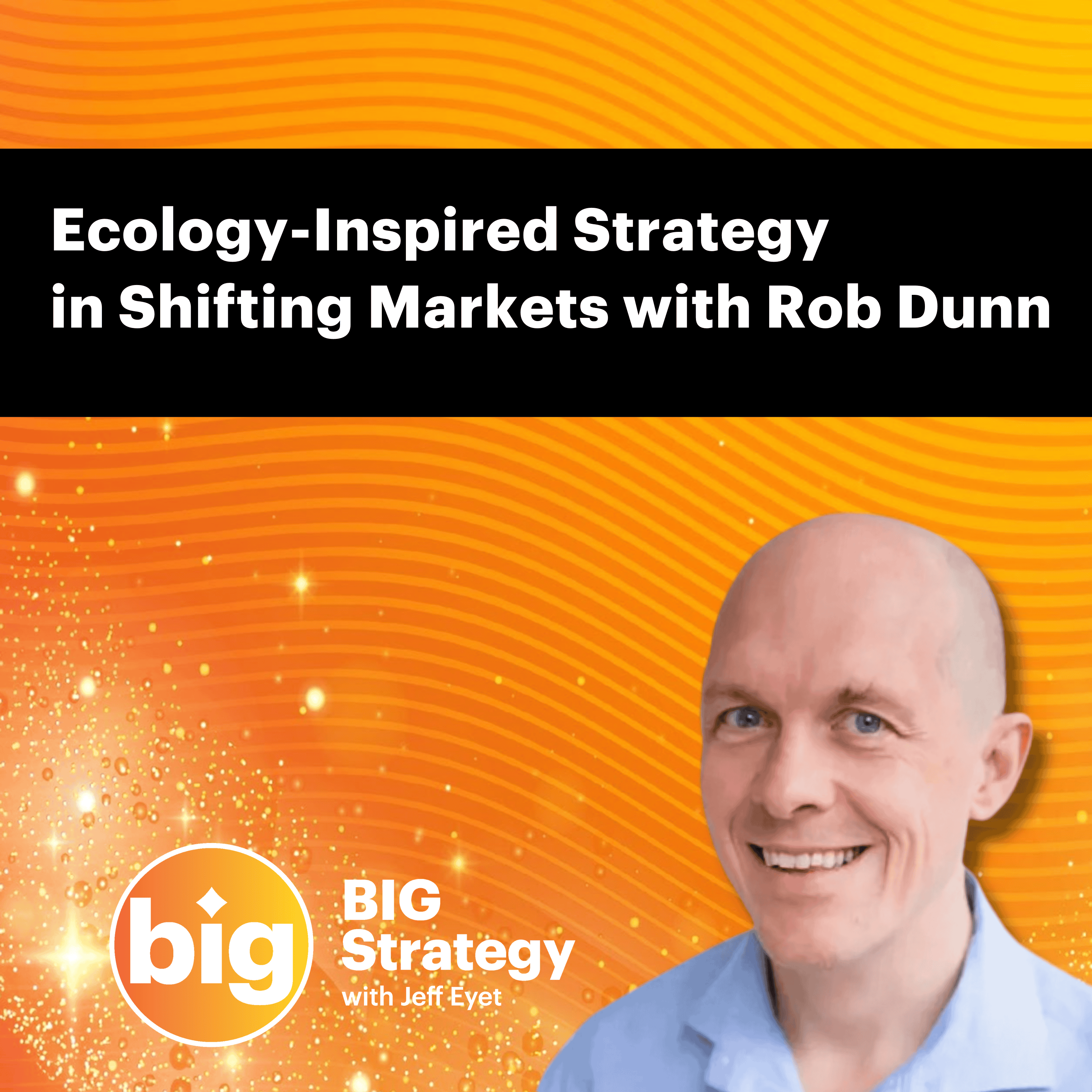 The BIG Strategy Podcast