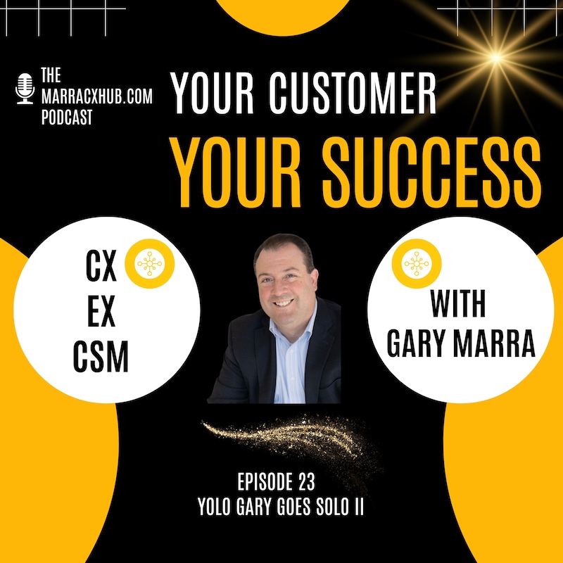 Artwork for podcast Your Customer, Your Success