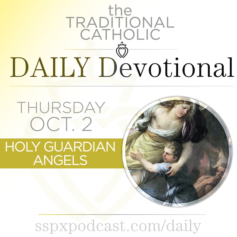 Artwork for podcast Traditional Catholic Daily Devotional