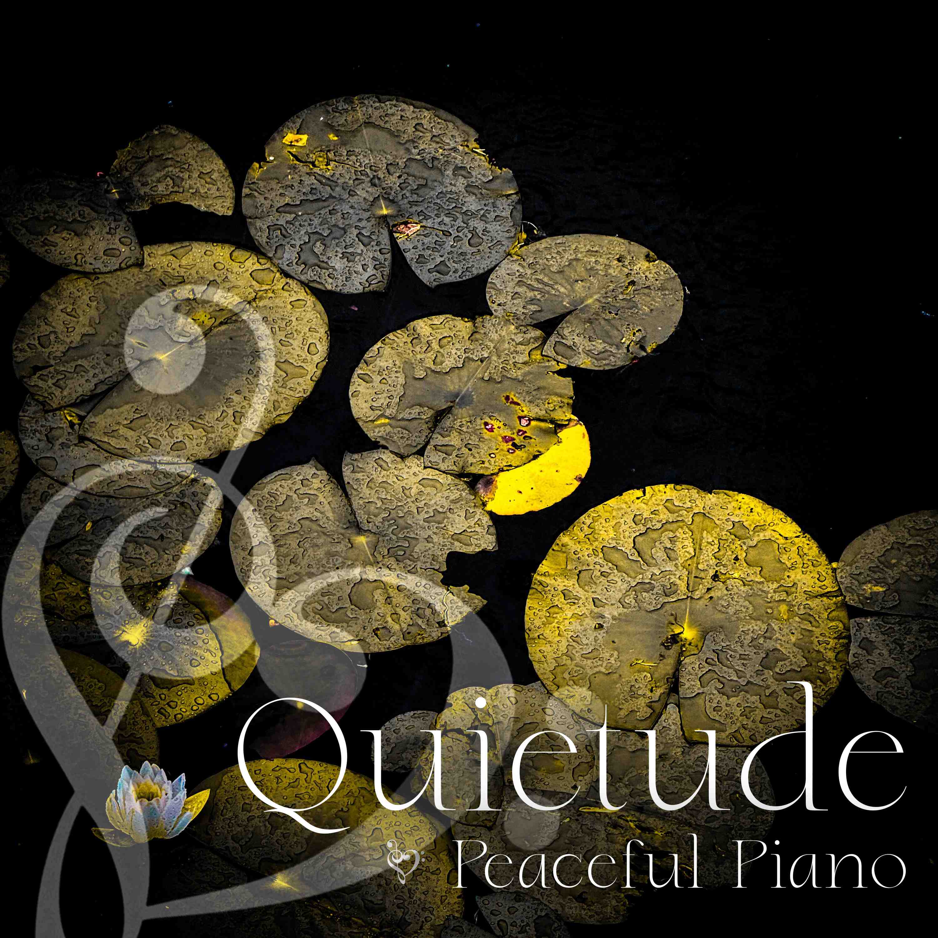 Peaceful Piano for Calm with Gray Treefrogs - 4 Hours - "As Dusk Arrives"