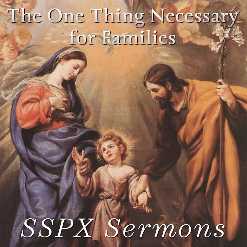 Artwork for podcast SSPX Sermons