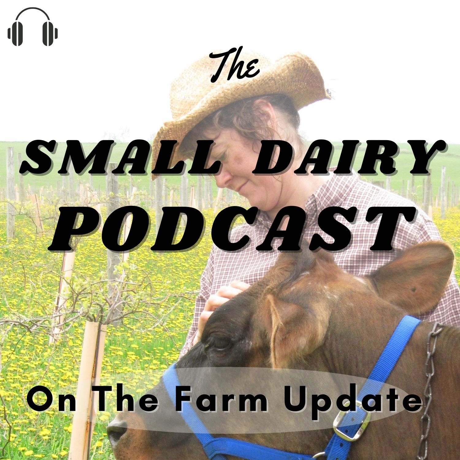 The Small Dairy Podcast