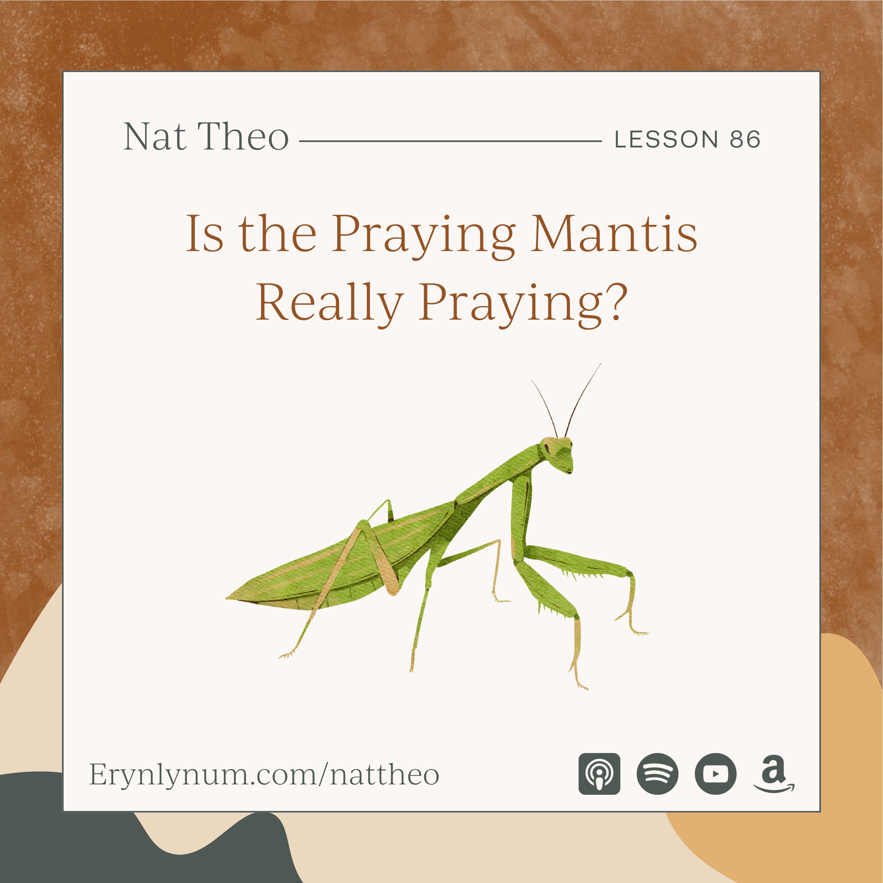 Nat Theo Nature Lessons Rooted in the Bible