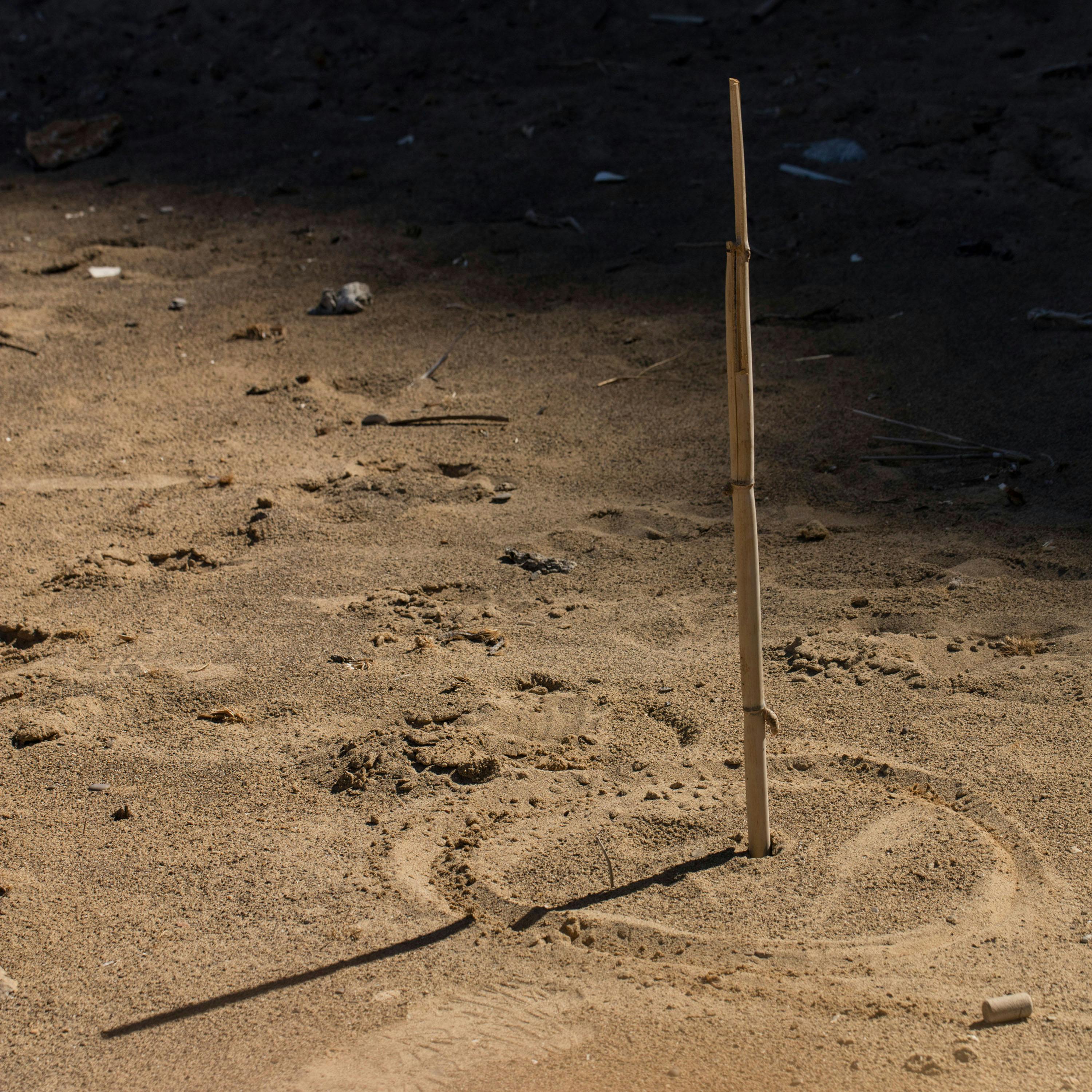 Time and Place – A Talk by Emmanuel Vaughan-Lee