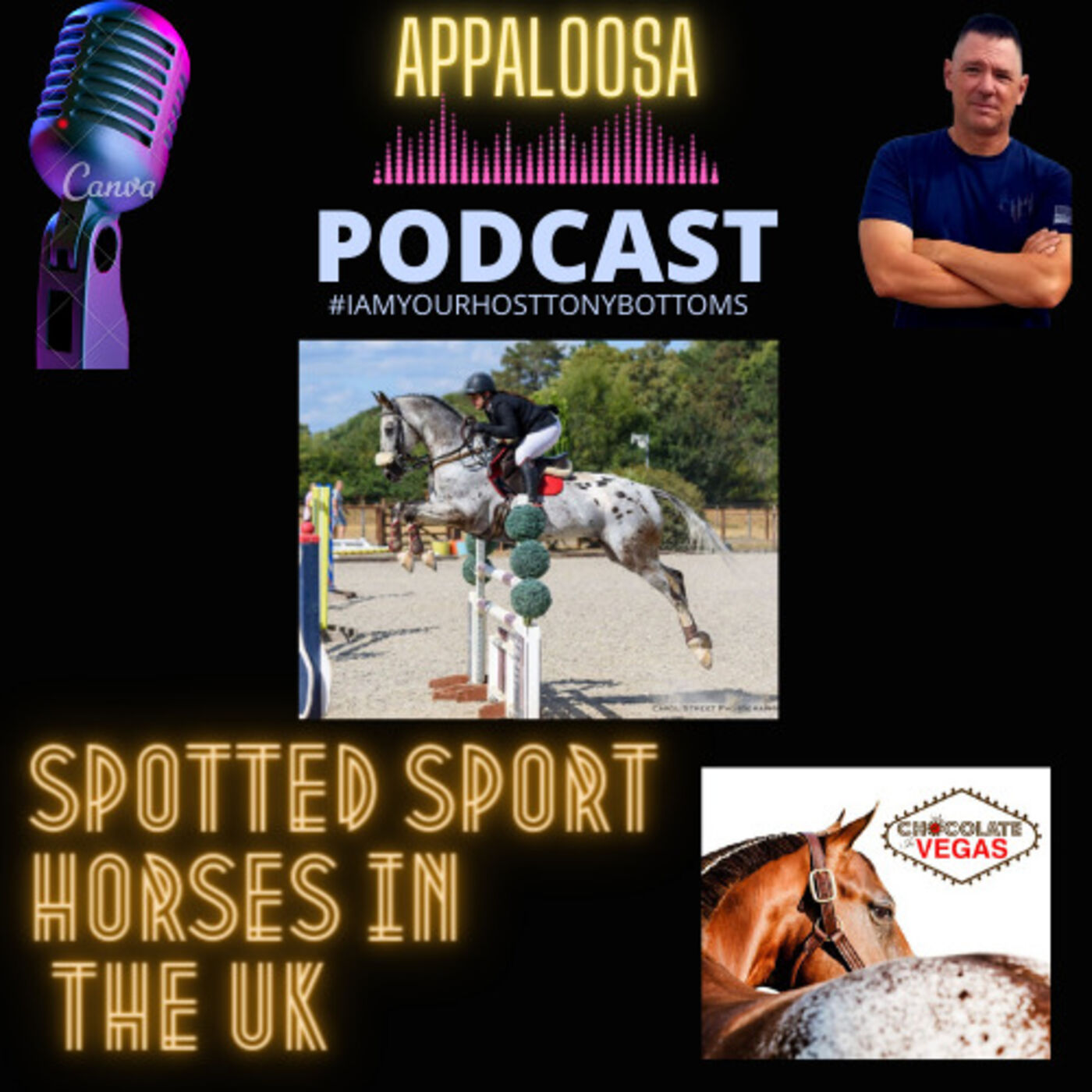 Spotted Sport Horses in the UK with Bianca Seward-Morris