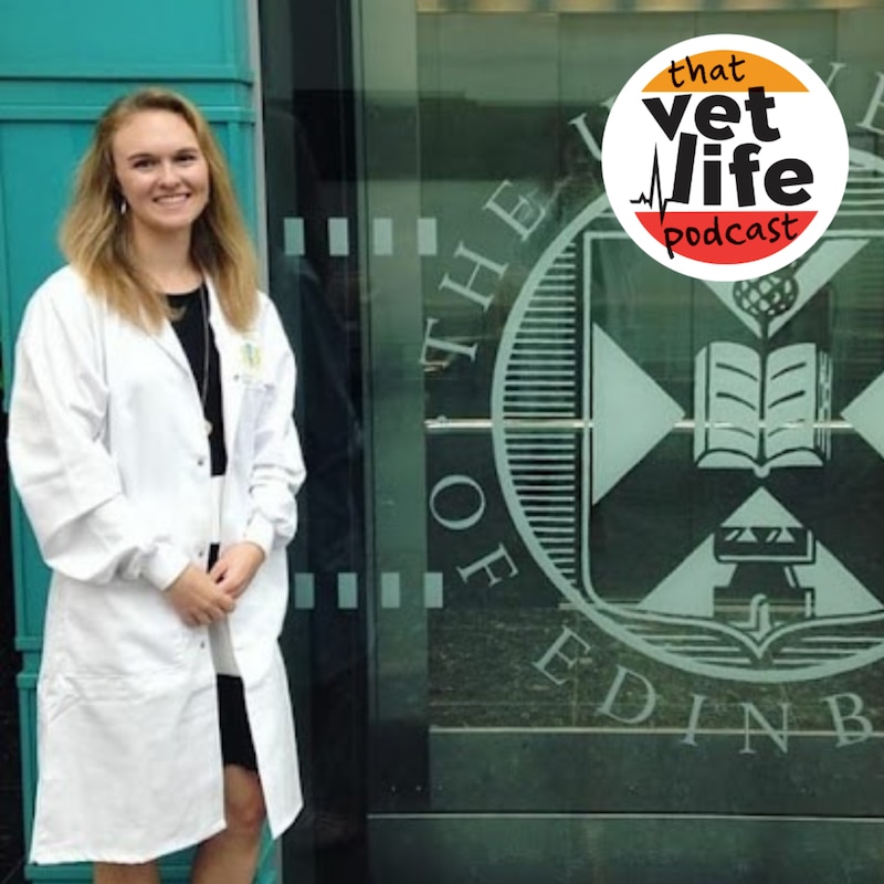 Artwork for podcast The 'So You're A Vet... Now What?' Podcast