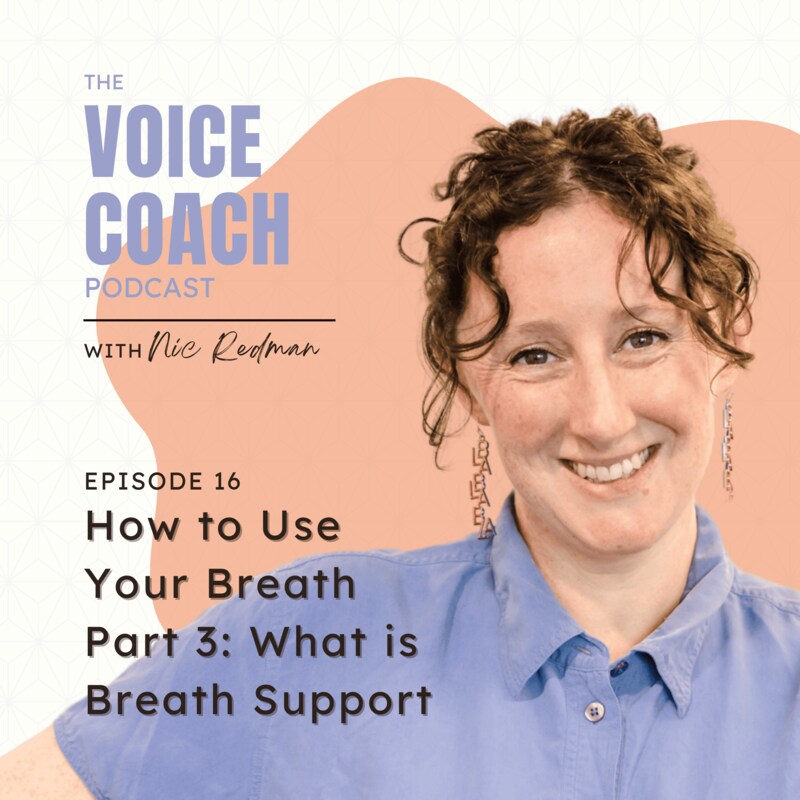 Artwork for podcast The Voice Coach Podcast