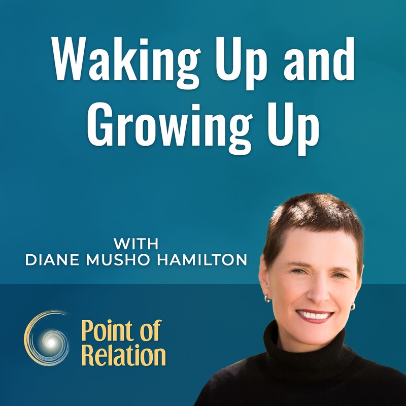 Artwork for podcast Point of Relation with Thomas Huebl