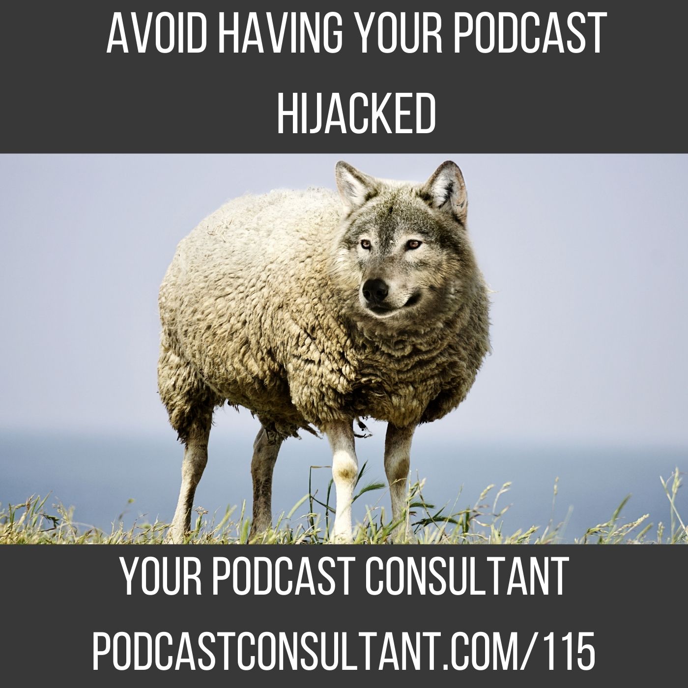 Avoid Having Your Podcast Hijacked