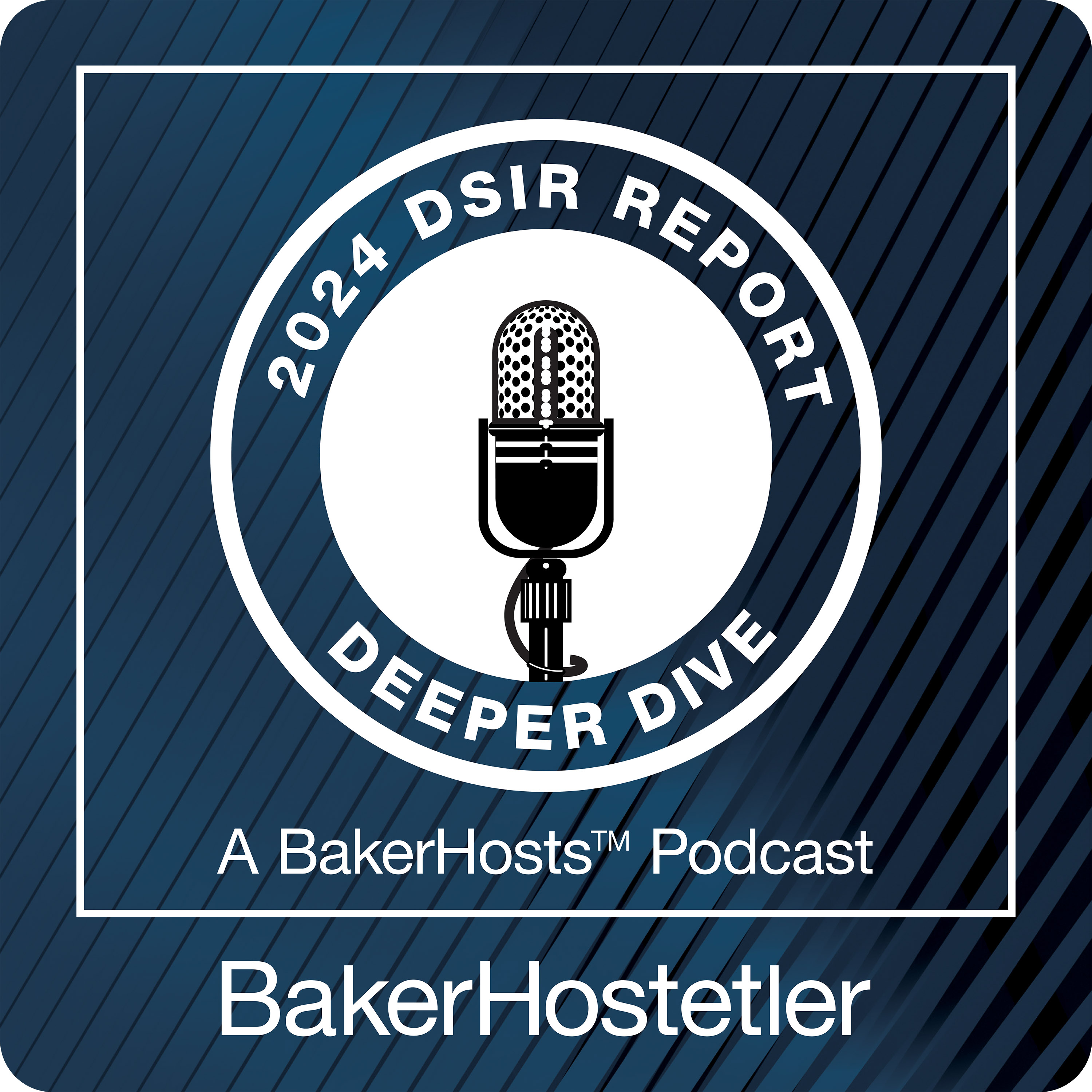 2024 DSIR Deeper Dive: The Use of AI In Interactive Entertainment and Videogames episode artwork